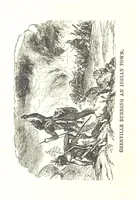 An illustration from Illustrated Historical Sketches of the Indians, exhibiting their manners and customs on the battle field, and in the Wigwam ... From the best authorities (1857)