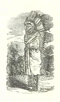 An illustration from Illustrated Historical Sketches of the Indians, exhibiting their manners and customs on the battle field, and in the Wigwam ... From the best authorities (1857)