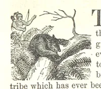 An illustration from Illustrated Historical Sketches of the Indians, exhibiting their manners and customs on the battle field, and in the Wigwam ... From the best authorities (1857)