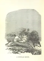 An illustration from Illustrated Historical Sketches of the Indians, exhibiting their manners and customs on the battle field, and in the Wigwam ... From the best authorities (1857)