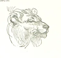 An illustration from Illustrated Historical Sketches of the Indians, exhibiting their manners and customs on the battle field, and in the Wigwam ... From the best authorities (1857)
