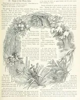 An illustration from Advanced Geography (1899)