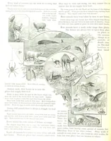 An illustration from Advanced Geography (1899)
