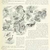 An illustration from Advanced Geography (1899)