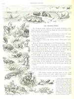 An illustration from Advanced Geography (1899)