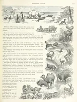 An illustration from Advanced Geography (1899)