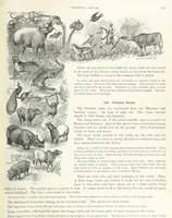 An illustration from Advanced Geography (1899)