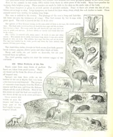 An illustration from Advanced Geography (1899)