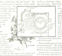 An illustration from Advanced Geography (1899)