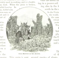 An illustration from Advanced Geography (1899)