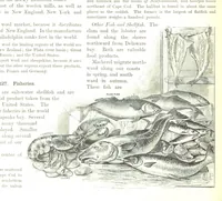 An illustration from Advanced Geography (1899)