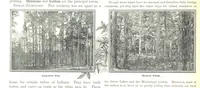 An illustration from Advanced Geography (1899)