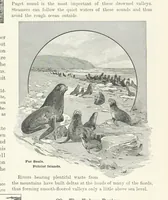 An illustration from Advanced Geography (1899)
