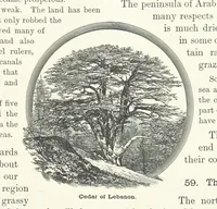 An illustration from Advanced Geography (1899)