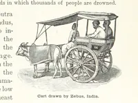 An illustration from Advanced Geography (1899)