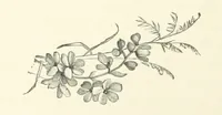 An illustration from A Daughter of the Klephts; or, A Girl of Modern Greece, etc. [A tale (1897)