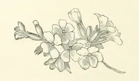 An illustration from A Daughter of the Klephts; or, A Girl of Modern Greece, etc. [A tale (1897)