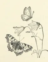 An illustration from A Daughter of the Klephts; or, A Girl of Modern Greece, etc. [A tale (1897)