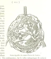 Picture 89 of 104 from Genève historique & archéologique ... avec dessins & fac-simile de Hermann Hammann. [With a supplement (1869), leaf 533