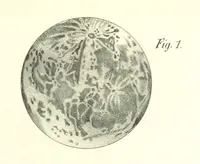 An illustration from Curso elemental de geografia universal (1869)