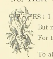 An illustration from Gems of English poetry. With illustrations by great artists (1865)
