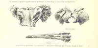 An illustration from Anvers à travers les âges (1887)