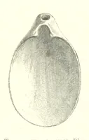 Picture 9 of 381 from Anvers à travers les âges (1887), leaf 24