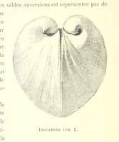 Picture 10 of 381 from Anvers à travers les âges (1887), leaf 24