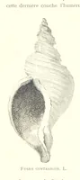 An illustration from Anvers à travers les âges (1887)