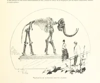 An illustration from Anvers à travers les âges (1887)