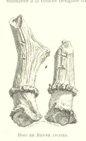 Picture 15 of 381 from Anvers à travers les âges (1887), leaf 34