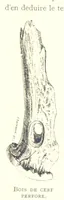 Picture 17 of 381 from Anvers à travers les âges (1887), leaf 36