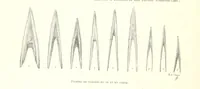 An illustration from Anvers à travers les âges (1887)