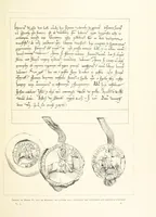 Picture 68 of 381 from Anvers à travers les âges (1887), leaf 99