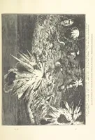 An illustration from Anvers à travers les âges (1887)