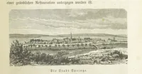 An illustration from Vaterländische Geschichten und Denkwürdigkeiten der Vorzeit der Lande Braunschweig und Hannover ... Zweite Auflage, vollständig umgearbeitet und vermehrt von F. Spehr, etc (1881)