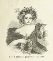 An illustration from Vaterländische Geschichten und Denkwürdigkeiten der Vorzeit der Lande Braunschweig und Hannover ... Zweite Auflage, vollständig umgearbeitet und vermehrt von F. Spehr, etc (1881)