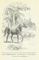 Picture 14 of 17 from The Maid of London Bridge. A story of the time of Kett's rebellion (1892), leaf 317