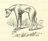 An illustration from A Daughter of Our Time, and other stories (1884)
