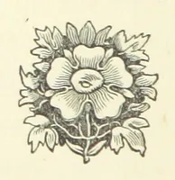 An illustration from A Daughter of Our Time, and other stories (1884)