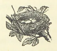 An illustration from A Daughter of Our Time, and other stories (1884)