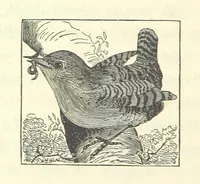 An illustration from A Daughter of Our Time, and other stories (1884)