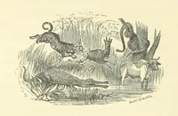 An illustration from Adventures in Many Lands ... with illustrations by S. P. Hall (1879)