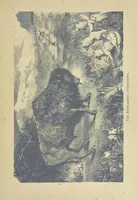 An illustration from Adventures in Many Lands ... with illustrations by S. P. Hall (1879)