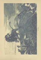 An illustration from Adventures in Many Lands ... with illustrations by S. P. Hall (1879)