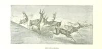 An illustration from Days and Nights in the Desert. With ... illustrations (1888)