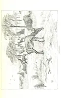 An illustration from Days and Nights in the Desert. With ... illustrations (1888)