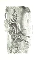 An illustration from Days and Nights in the Desert. With ... illustrations (1888)
