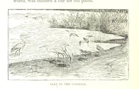 An illustration from Days and Nights in the Desert. With ... illustrations (1888)
