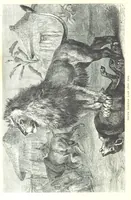 An illustration from Days and Nights in the Desert. With ... illustrations (1888)